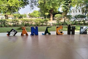 Panache